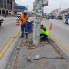 Un tramo del parterre de la Guillermo Pareja fue reparado