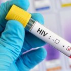 Una investigación demuestra que una estrategia de vacunación de "entrega lenta y dosis creciente" puede hacer que estas células pasen meses mutando y mejorando sus anticuerpos