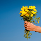 Referencial del regalo de flores amarillas.