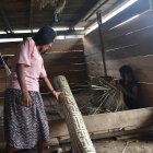 Una herencia familiar. La principal materia prima es la palma toquilla. María Quiñónez aprendió desde niña el arte de confeccionar canastos y petates.