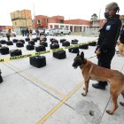 Hecho. El estupefaciente estaba camuflado en un contenedor que pretendía trasladar a Bélgica caja de bananos.