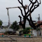 Maquinarias del Municipio procedió a cortar las ramas secas de árboles que hay en un parque de Guayacanes.