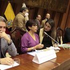 La mamá de María Belén Bernal, Elizabeth Otavalo, compareció en dos comisiones y el Pleno de la Asamblea.