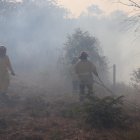 Se desconoce hasta el momento las afectaciones a la vegetación del sector.