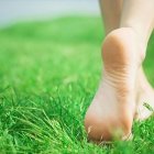 El contacto con la naturaleza mejora la salud.