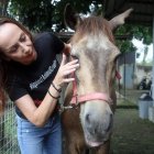 Karin Franken, cofundadora de Jakarta Animal Aid Network/JAAN, revisa el ojo de un caballo de carruaje llamado Chester en el refugio JAAN en Bogor, Indonesia, el 4 de octubre de 2022.