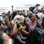 Bendición de mascotas en Quito.