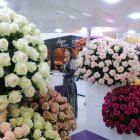 Ayer se inauguró Expo Flor Ecuador 2022, en el Centro de Convenciones Metropolitano de Quito.