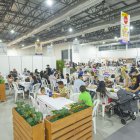 Foto de archivo de Raíces.