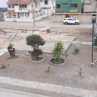 Los moradores señalan la falta de cuidados al parque Los Olmos