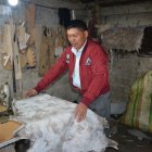 Quisapincha. Manuel Cusquillo prepara una pieza de cuero sobre la que trabajará. Habita en medio páramo.