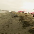 Playas. Los moradores se quedaban sorprendidos por el estado del mar.