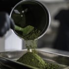 Trabajadores cultivan plantas para producir cannabis medicinal en una de las mayores plantaciones de cannabis, el 20 de septiembre de 2022, en Paty do Alferes (Brasil).