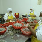 El camarón hoy es el producto de mayor exportación. En el 2021 las ventas superaron los $ 5.000 millones.