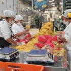 La empresa aún busca las vías para saldar sus deudas en el mercado