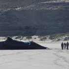 Fotografía del Instituto de Conservación de Ballenas que muestra a unos investigadores que trabajan en una ballena muerta a principios de octubre de 2022,  en una playa de la Península Valdés, provincia Chubut, Argentina.