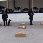 El alcaloide estaba camuflado en cajas de calamar