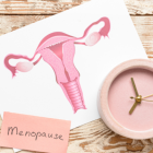 La menopausia es el momento que marca el final de los ciclos menstruales
