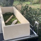 Uno de los nuevos ataúdes vivos del cementerio de Viena, hecho de hongos y que actúa como fertilizante natural.