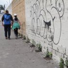 Remedio. Para evitar la proliferación de grafitis y otras suciedades en las paredes, siembran las plantas