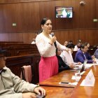 Interpelante. Mireya Pazmiño, de Pachakutik, presenta las pruebas de cargo contra los cuatro vocales del CPCCS.
