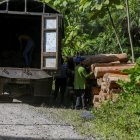 Productos libres de deforestación