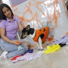 Tendencia. Los amantes de animales cada año visten más a sus mascotas, en especial por Halloween.