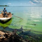 Fotografía de manchas de petroleo el 20 de octubre del 2022, en el Lago de Maracaibo (Venezuela).
