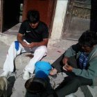 Tarea. Édison Pilatuña y su padre sacan las alas de los catzos antes de dejarlos en agua con sal.