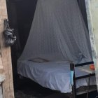 Unos vecinos le prestaron la cama para que pueda descansar en compañía de sus gatos.