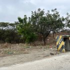 La basura de esta oreja víal se ha vuelto otro "adorno", además de la vegetación que está presente.