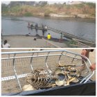 Quevedo. Los pescadores se asustaron con el hallazgo.