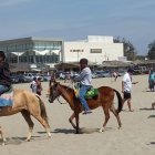 La ciudadanía exige que los caballos no sean utilizados para dar paseos en las playas. Denuncias que no son bien cuidados.