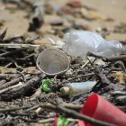 En la imagen de archivo, desechos que contaminan una playa en Ciudad de Panamá (Panamá).