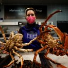 En la imagen de archivo, una trabajadora del mercado muestra dos ejemplares de centollo.