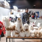 Esta es una oportunidad en auge para la moda peruana y que la destacan en una feria.