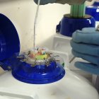 En la imagen de archivo, un banco de semen.