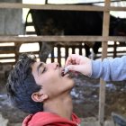 Un niño sirio recibe una vacuna oral contra el cólera durante una campaña de vacunación en la aldea de Bhanine, en el Líbano, el 12 de noviembre de 2022. EFE/EPA/WAEL HAMZEH