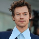 Harry Styles continuó con su presentación tras el incidente que le causó dolor.