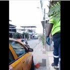 Novedad. El hecho quedó captado en un video.