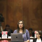 La presidenta de la comisión ocasional, Ana Herrera, presentó las conclusiones y recomendaciones del informe.