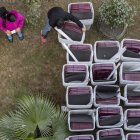 Los funcionarios electorales de Nepal recogen las urnas y los artículos necesarios para las elecciones generales en la oficina electoral de Katmandú, en Katmandú, Nepal, el 17 de noviembre de 2022.