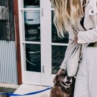 Cuidados. Lo deseable es compartir con nuestro perro todas las actividades del día, pero la mayoría de las veces esto no es posible.