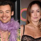 Harry Styles y Olivida Wilde no llegaron a cumplir el primer año de relación.