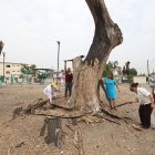 Las ramas secas de los árboles del parque de los Niños, en Guayacanes, fueron cortadas. Hoy solo están los troncos y aún no llega la reforestación prometida por el Municipio.