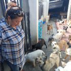 Abandono. Nadie se hace responsable del abandono de los animales de compañía. Sandra Ojeda cumple una labor voluntaria. Así como ella, hay muchos.