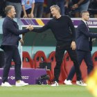 Luis Enrique Martinez, seleccionador español.