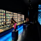 El museo. En este particular sitio, los visitantes pueden observar imágenes tomadas bajo el microscopio y ampliadas miles de veces.