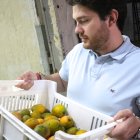 El cofundador de Remango Gonzalo Martínez observa mangos observa mangos el 23 de noviembre de 2022, en Asunción (Paraguay). EFE/