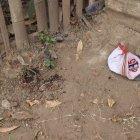 Sobre el suelo dejaron un hombre baleado en Nueva Prosperina